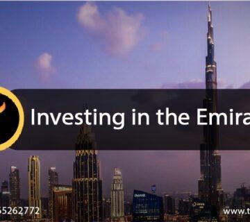 Investing in the Emirates